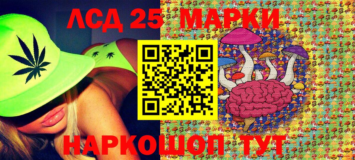 Губкинский  Наркотические марки  Марки 25I-NBOMe 1500мкг  Вход с VPN  сколько стоит  Марки 25I-NBOMe 1500мкг 