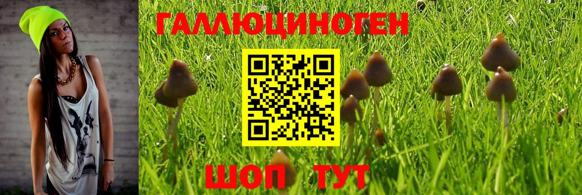 Галлюциногенные грибы мухоморы Губкинский